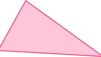 45 67.5 67.5 Triangle Clear Background