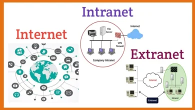 CHSLI Intranet: Complete Guide to Access, Login, Services