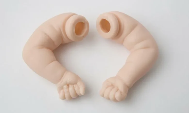 Flesh Tones Rubber Semicircles Toy