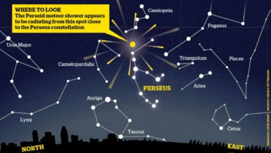 Perseids Pronunciation
