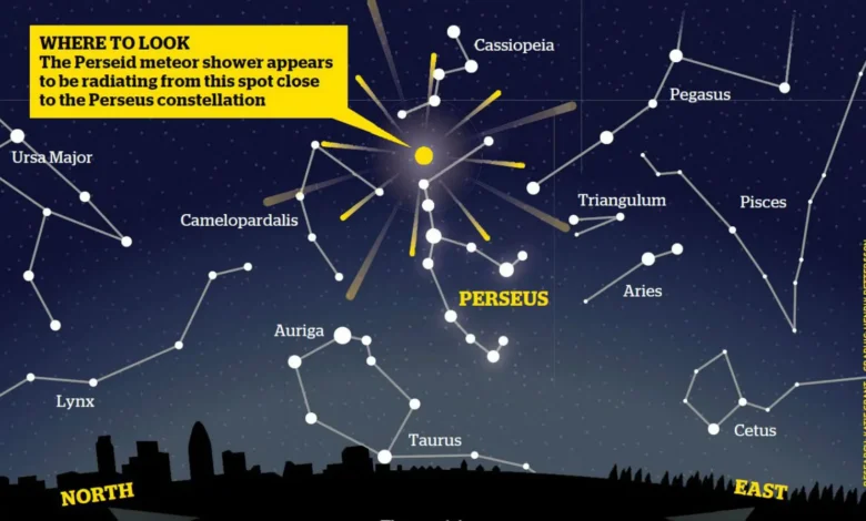 Perseids Pronunciation