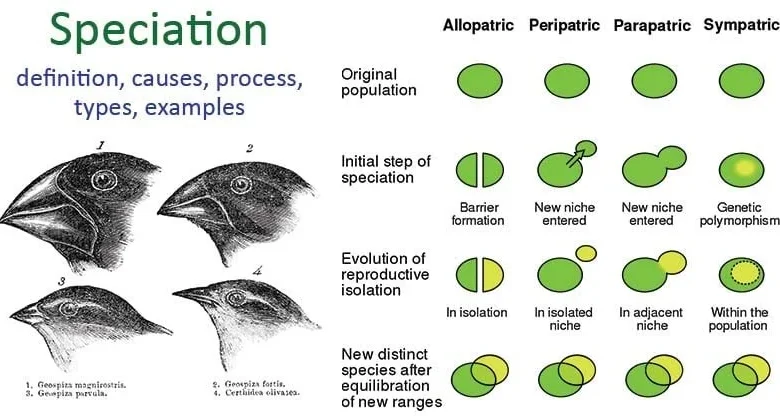 Speciering: Meaning, Scientific Importance, Applications