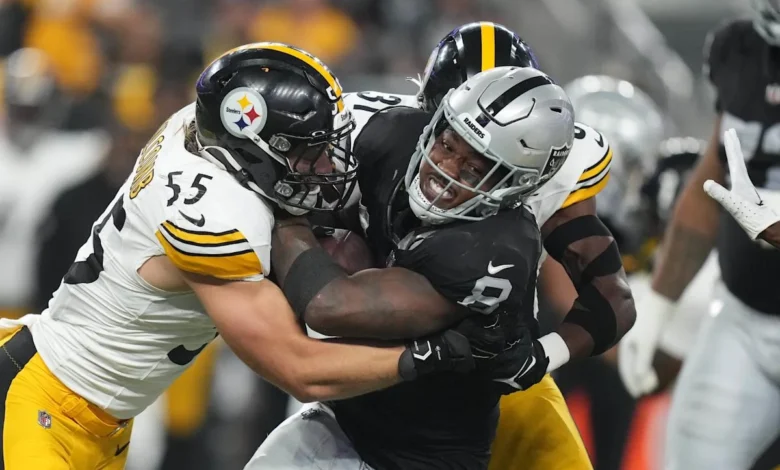 Steelers vs Las Vegas Raiders Match Player Stats