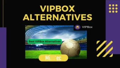 Vipbox.se: What It Is, How It Works, and Important Safety Information