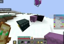 donut smp anti esp bypass