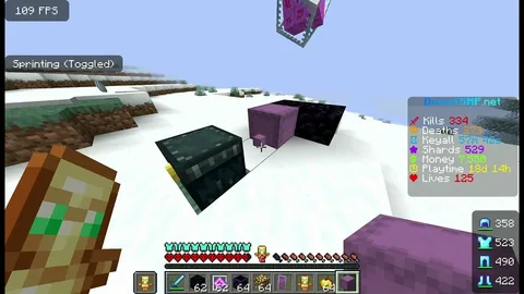 donut smp anti esp bypass